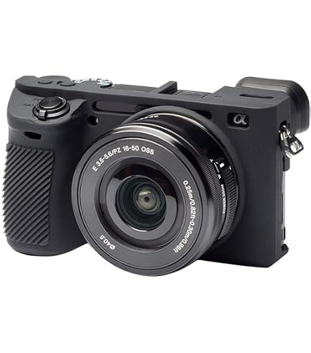 SONY α6500 + 純正ボディケースLCS-EBG Amazon.co.jp: SONY(ソニー) α6500専用ボディケース LCS-EBG : 家電
